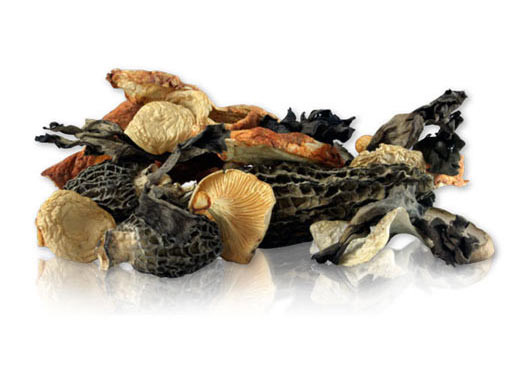 Dried Forest Blend Mushrooms
