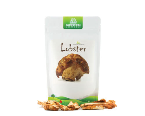 Small package of Dried Lobster Mushrooms
