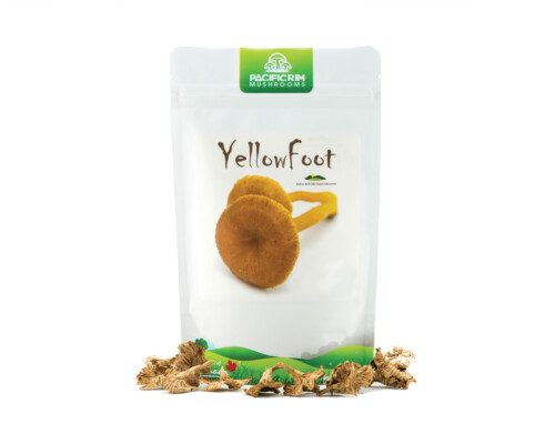 Small package of dried yellow-foot mushrooms