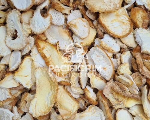 Dried Lions mane mushroom pieces