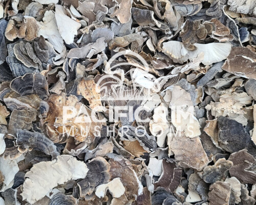 TURKEY TALE mushrooms dried