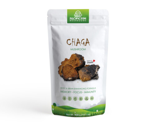 Small package of Chaga Mushroom whole pieces