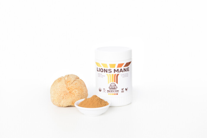 Lions Mane Mushroom Extract Powder - Image 4