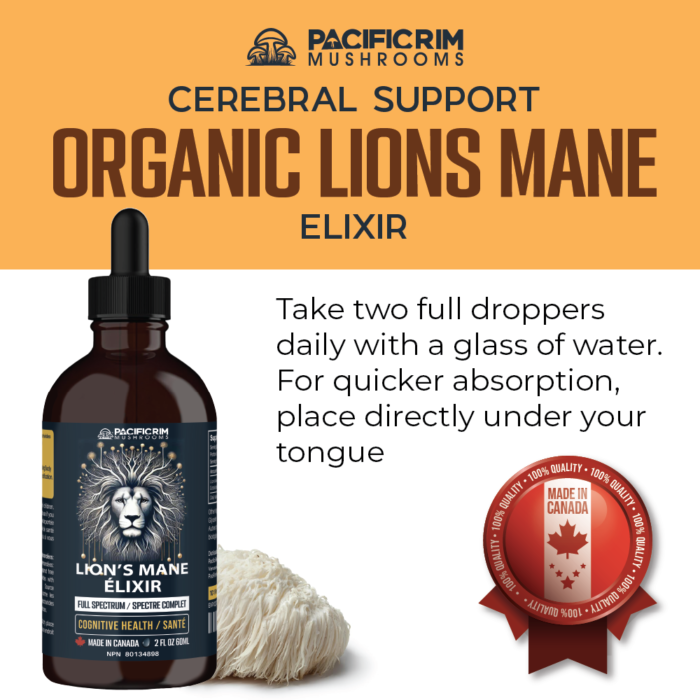 Lion's Mane Mushroom Elixir Drops - Dual Extracted - Memory, Focus & Clarity - Image 2