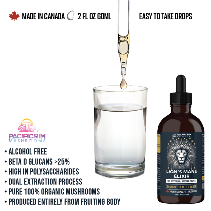 Lion's Mane Mushroom Elixir Drops - Dual Extracted - Memory, Focus & Clarity - Image 7