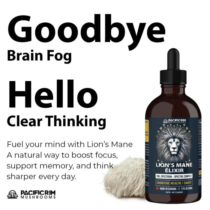 Lion's Mane Mushroom Elixir Drops - Dual Extracted - Memory, Focus & Clarity - Image 8