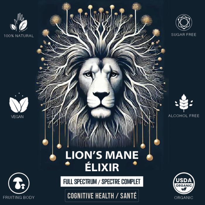 Lion's Mane Mushroom Elixir Drops - Dual Extracted - Memory, Focus & Clarity - Image 9