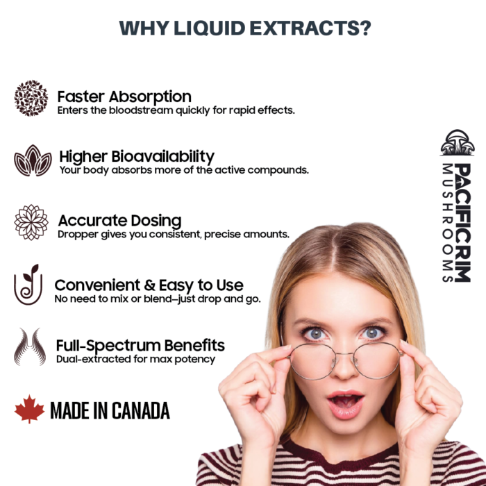 Lion's Mane Mushroom Elixir Drops - Dual Extracted - Memory, Focus & Clarity - Image 3