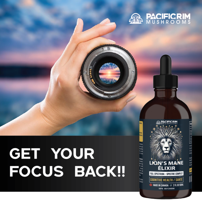 Lion's Mane Mushroom Elixir Drops - Dual Extracted - Memory, Focus & Clarity - Image 4